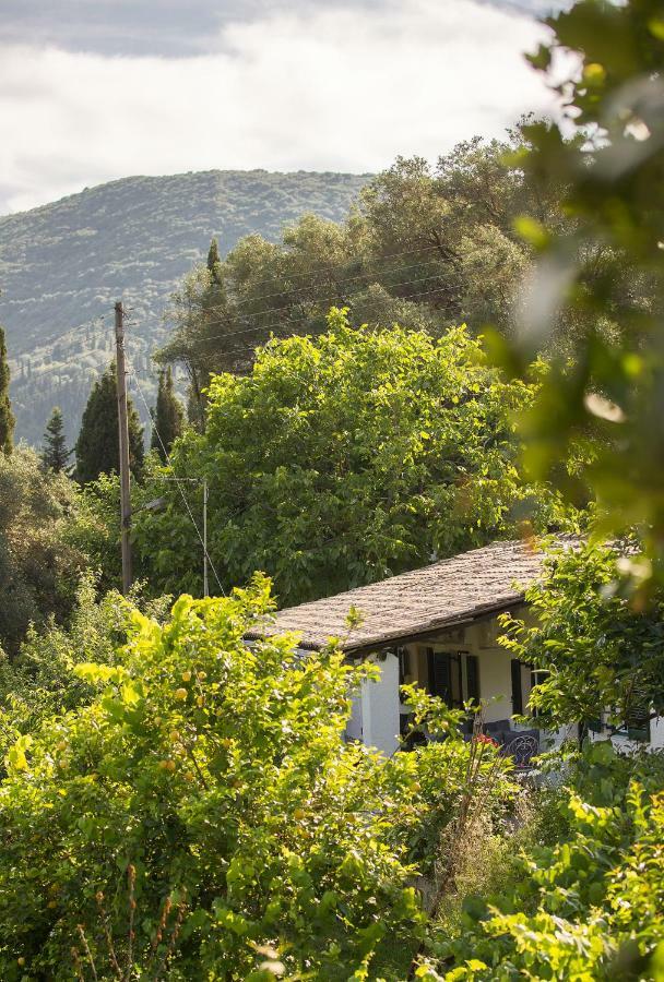 Holiday home Natural Beauty Spot Ano Garouna